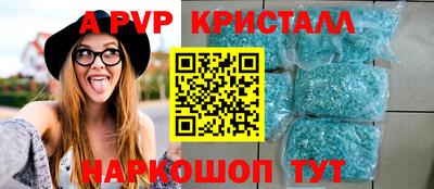 хмурый Кингисепп