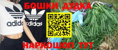 хмурый Кингисепп