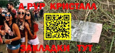 хмурый Кингисепп