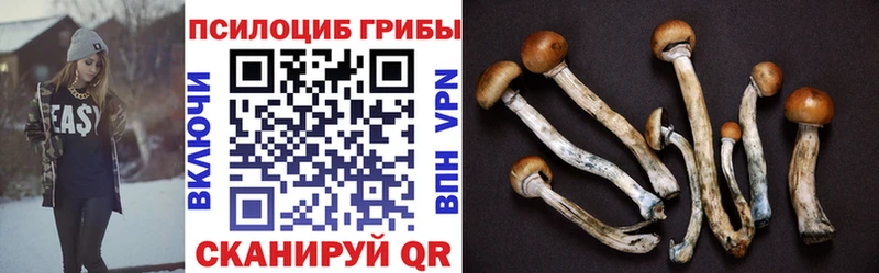 Псилоцибиновые грибы мицелий Усолье-Сибирское