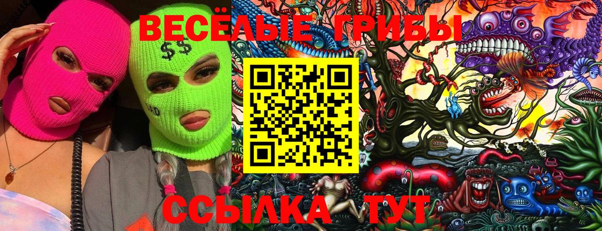 Псилоцибиновые грибы мицелий  Вход с VPN  Усолье-Сибирское  Псилоцибиновые грибы GOLDEN TEACHER 